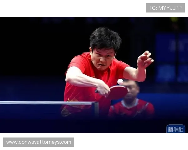 樊振东训练完顺手买辆超跑，这自律和消费反差谁懂啊